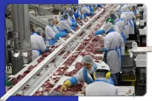 مواد غذایی و کاربرد های فیلتر پرس
