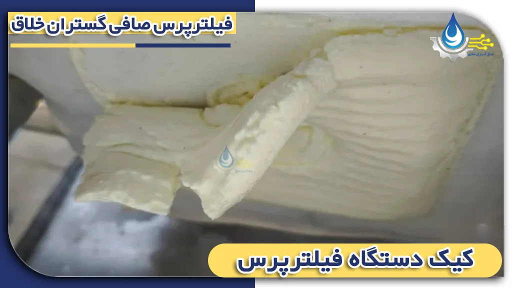 کیک فیلتر پرس